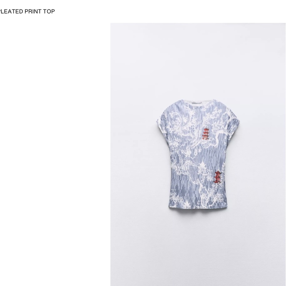 Zara Blue Pleated Asian Print Skirt and Top (Set)